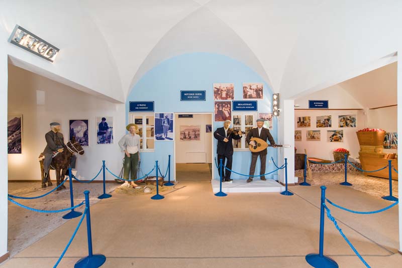 Museum Exhibitions